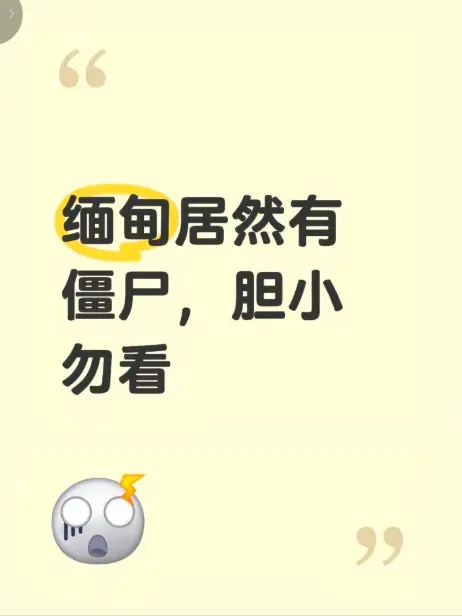 《缅甸僵尸出土事件》高清视频现场全程录像揭秘缅北神秘事件真相 - 最新高清完整版在线免费播放