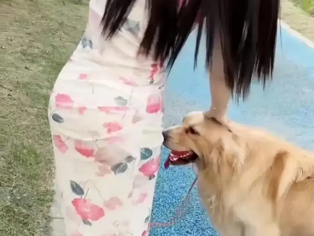 《抖音香香公主与爱犬金毛》完整版在线高清免费观看-抖音香香公主与爱犬金毛个人珍藏高能日常互动-无广告网盘资源免费秒播