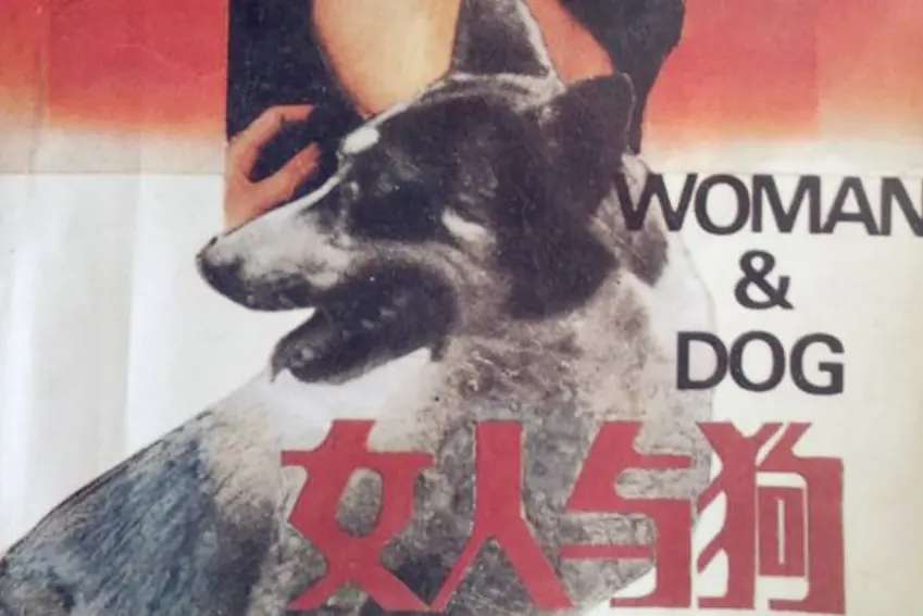 《女人与狗》俄罗斯电影完整版-无广告高清在线观看-《女人与狗》无删减版全集中文字幕