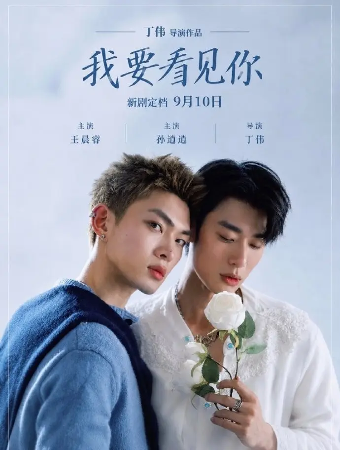 《我要看见你》台剧免费观看完整版-我要看见你HD中字高清在线-2026双男主电视剧-全集观看