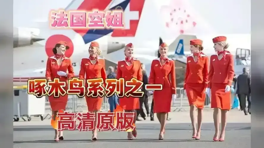 《法国空姐》全集高清在线观看-2017-2023三季全无删减-法语原声中字1080P-航空职场法剧免费播放《法国空姐》