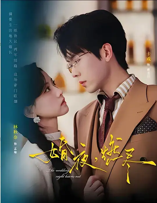 《婚夜，燃尽》全季完整版在线播放-热门短剧《婚夜，燃尽》无广告免费看-高清1080P中字百度云迅雷夸克资源
