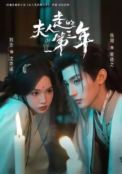 《夫人走的第三年》全集无删减在线观看-高清1080P免费播放