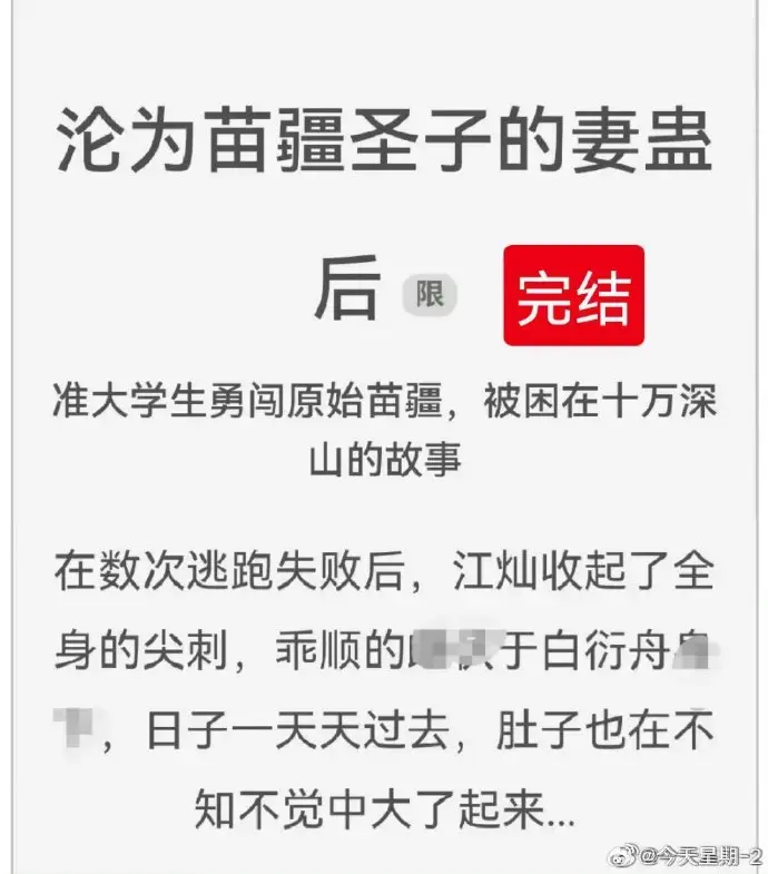 沦为苗疆圣子的妻蛊后全文免费阅读-狐狸雨小说完结版资源-百度云txt下载在线看