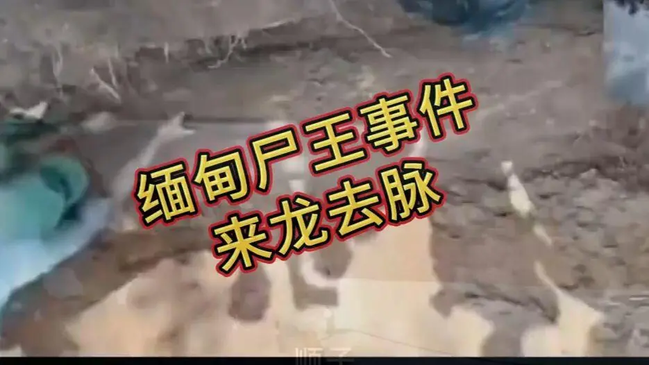 《缅甸僵尸出土事件视频》诡异真相解密-缅北僵尸出土事件始末原视频高清下载-完整版资源在线观看免费播放