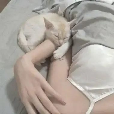 《森泽佳奈》资源下载与免费在线观看全集 - BD中字高清超清未删减完整版极速播放 - 夸克网盘资源分享